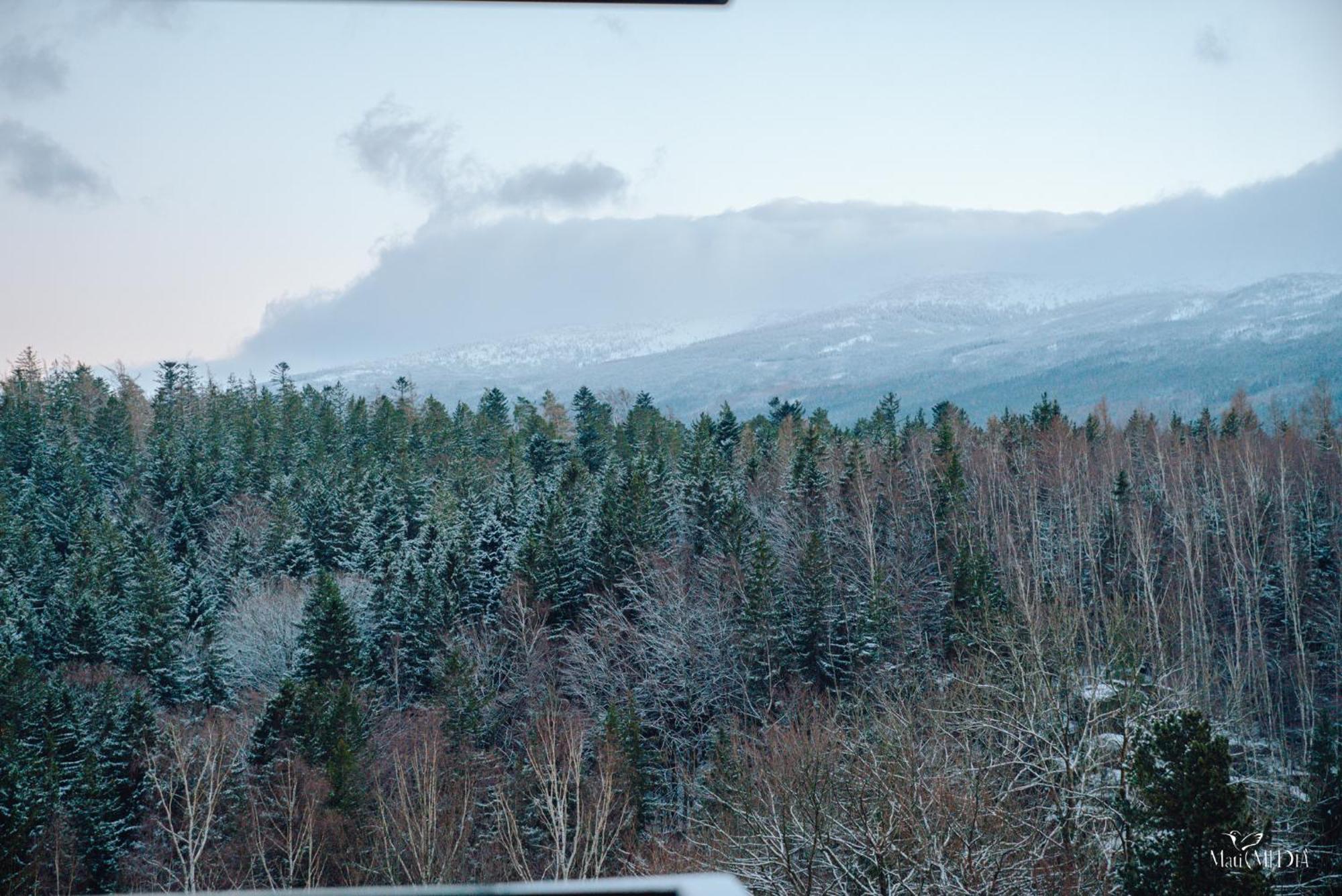 Apartmán Panorama Gor 
