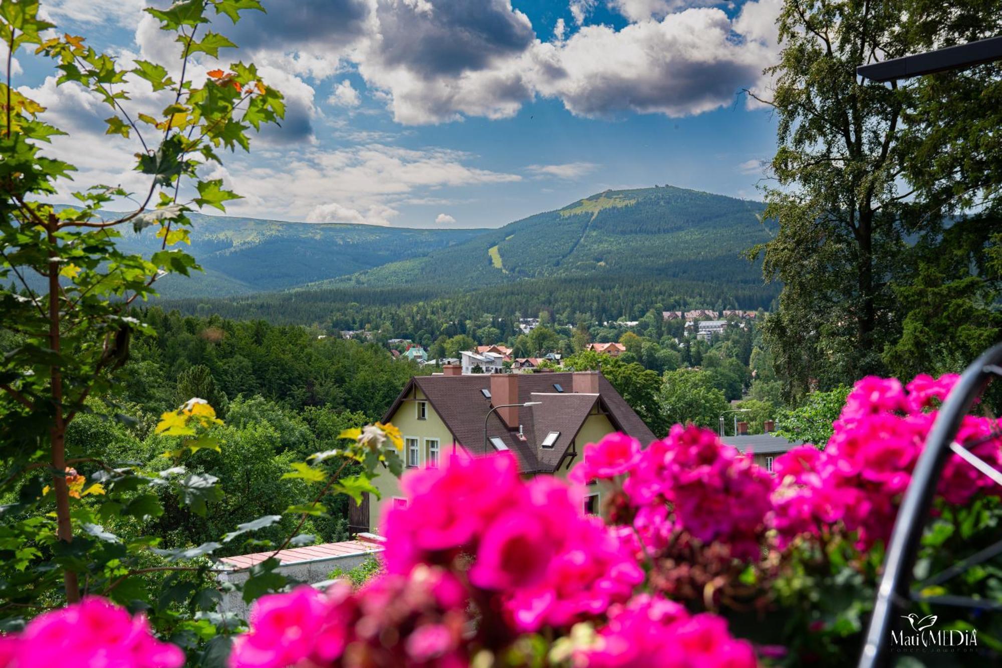 Panorama Gor 