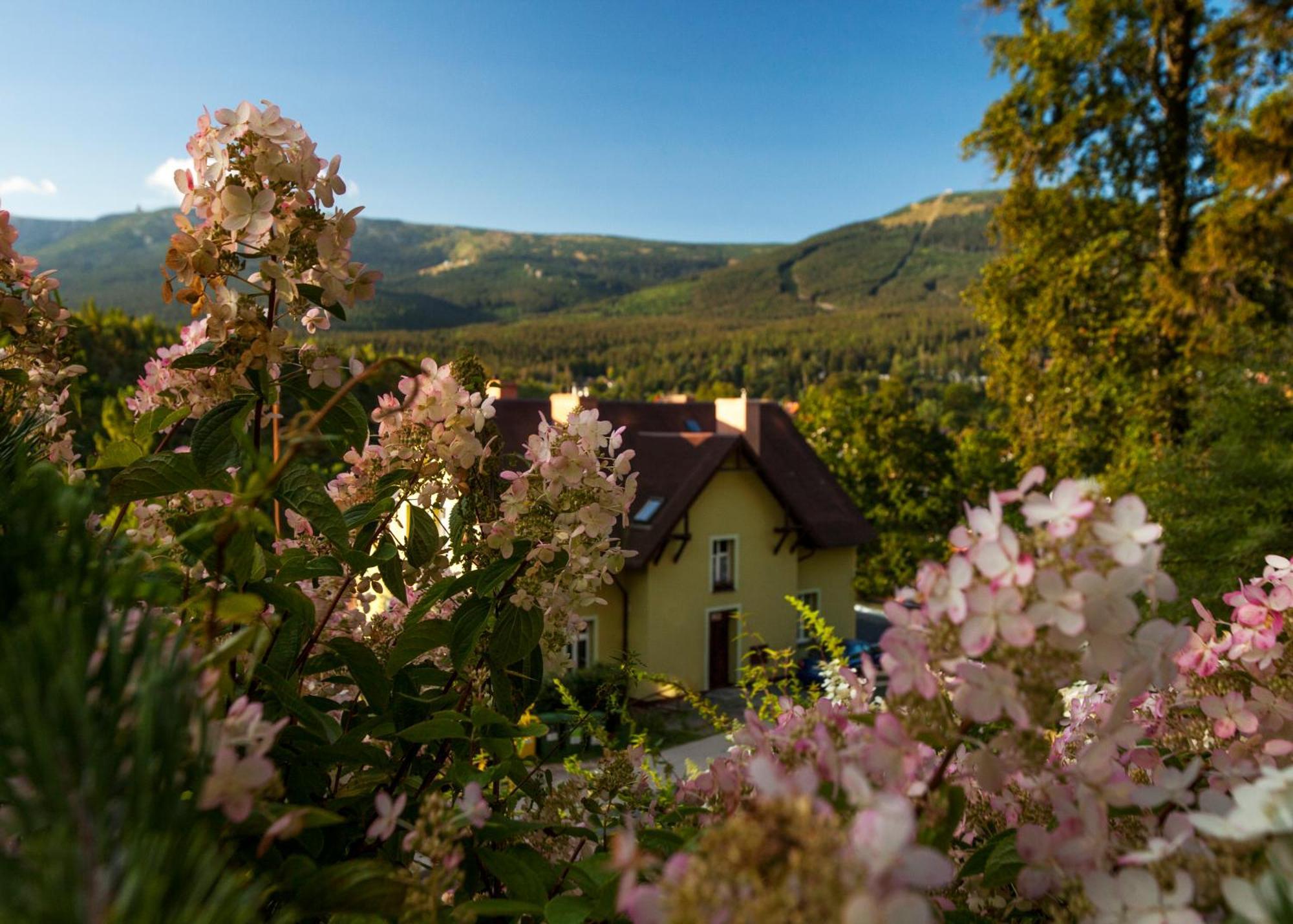 Apartmán Panorama Gor 